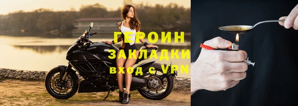 прущие грибы Новодвинск