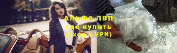 прущие грибы Новодвинск