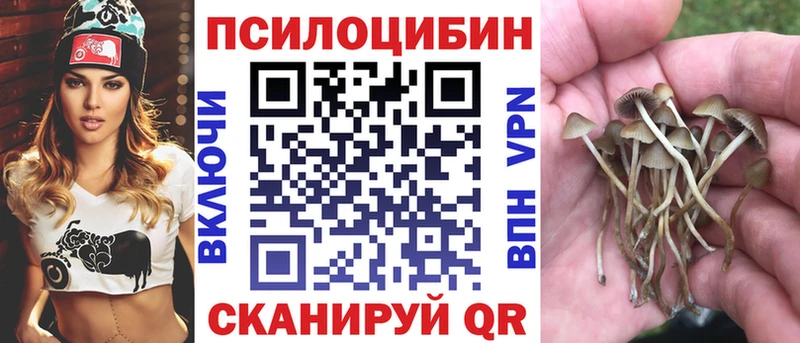 Галлюциногенные грибы ЛСД Шенкурск
