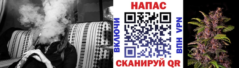 Бошки Шишки SATIVA & INDICA  Шенкурск 
